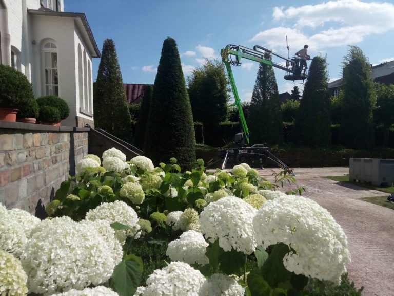 2D Tuinconcepten tuinaanleg tuinontwerp Wellen Limburg