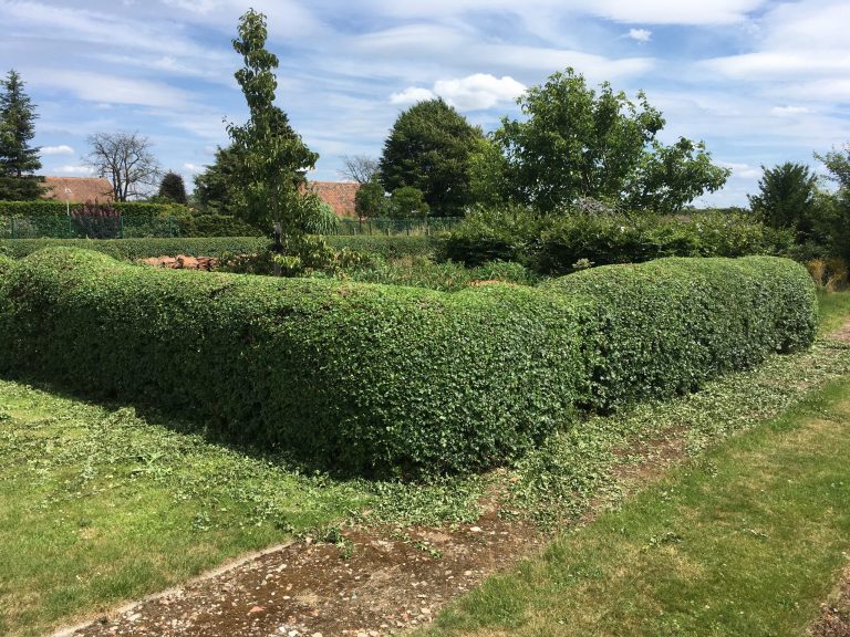2d Tuinconcepten tuinonderhoud Wellen Limburg