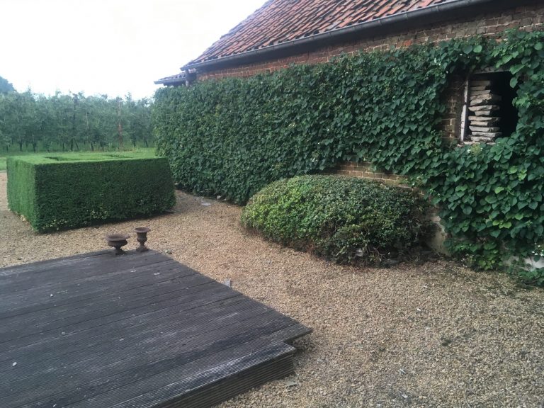 2d Tuinconcepten tuinonderhoud Wellen Limburg