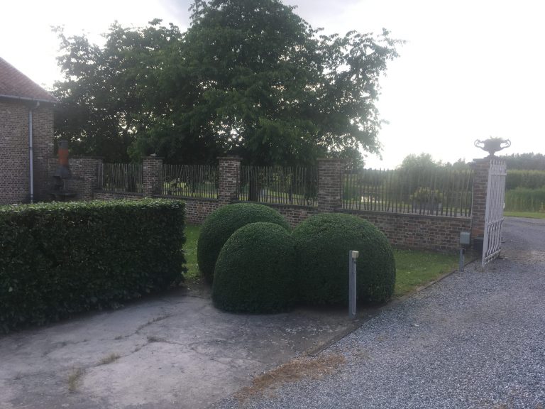 2d Tuinconcepten tuinonderhoud Wellen Limburg