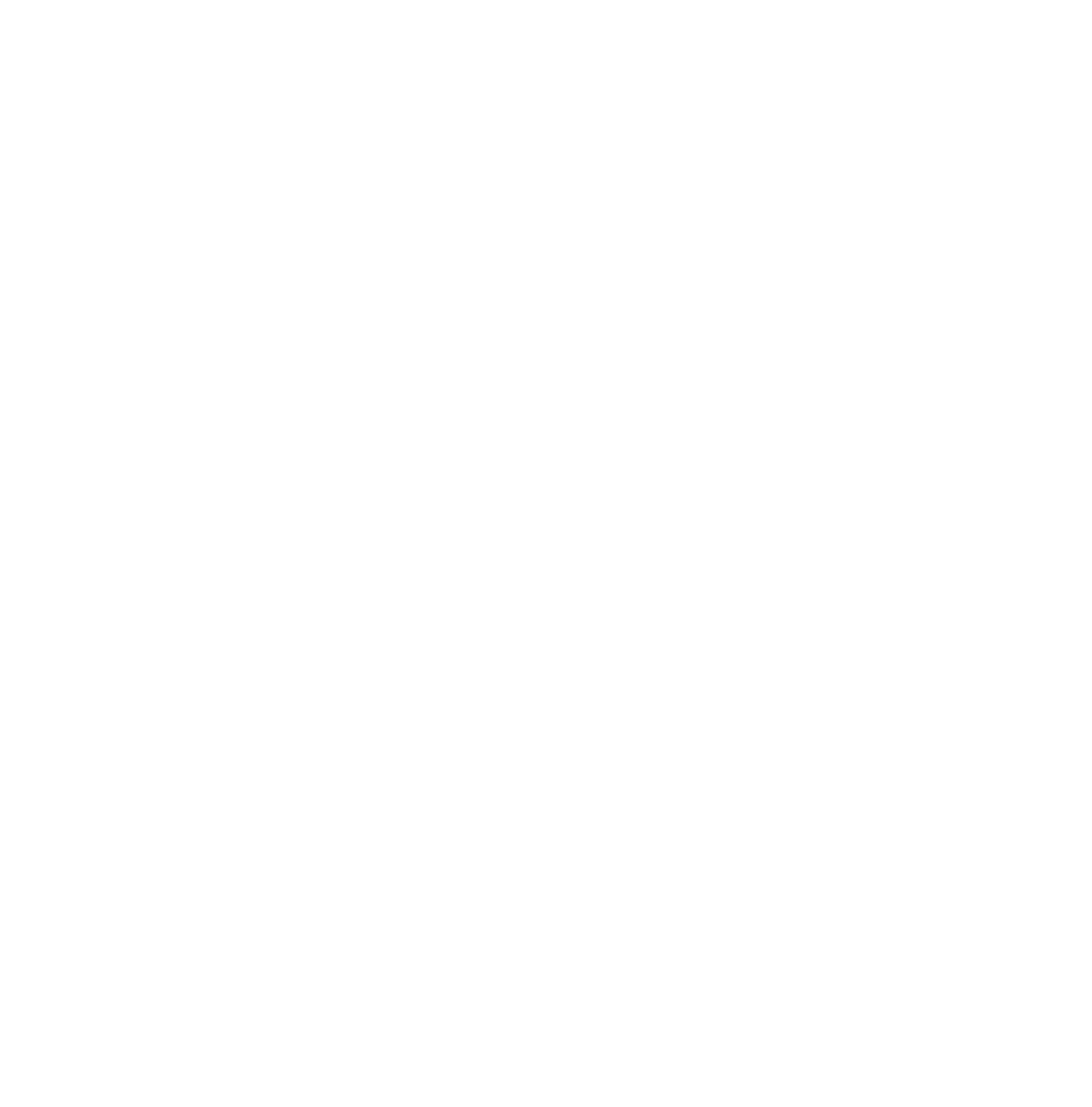 2X Capital