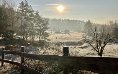 UNSER GELIEBTES FESTIVAL-GELÄNDE [NOCH] IM WINTERSCHLAF !!!