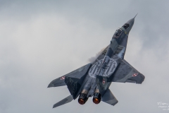 MiG-29 Fulcrum