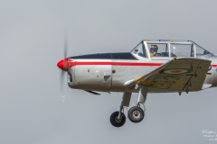 TBE_9618-de Havilland Canada DHC-1 (SE-FNP)