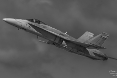 FA-18c-Hornet-Finnish-TBE_0270-bw