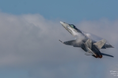 FA-18c-Hornet-Finnish-TBE_0281