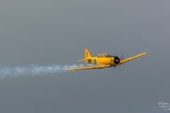 SK-16A-North-American-T-6-Texan-TBE_8911