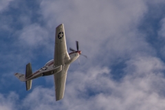 ACE_5366-North Amercian P-51D Mustang