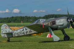 ACE_9307-Focke-Wulf FW-190A-8 - (D-FWSE)