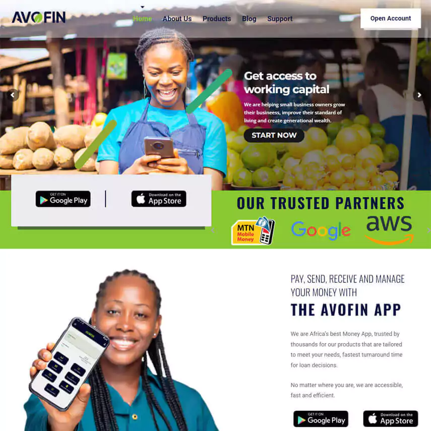 Avofin Financial Services Web design and SEO in Zambia