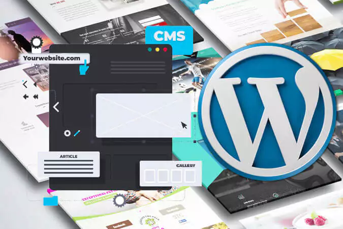 wordpress Website promo affordable website design in Zambia