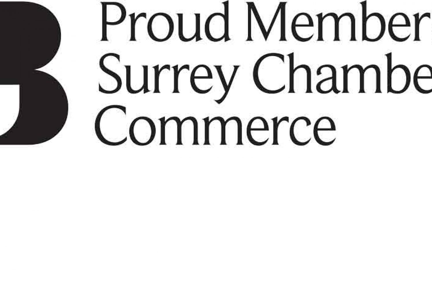 360 Virtual tour is a proud member of the Surrey Chambers of Commerce for over 5 years serving the local community and assisting businesses on all Google Maps related queries. An expert on Google My Business and Street View related matters