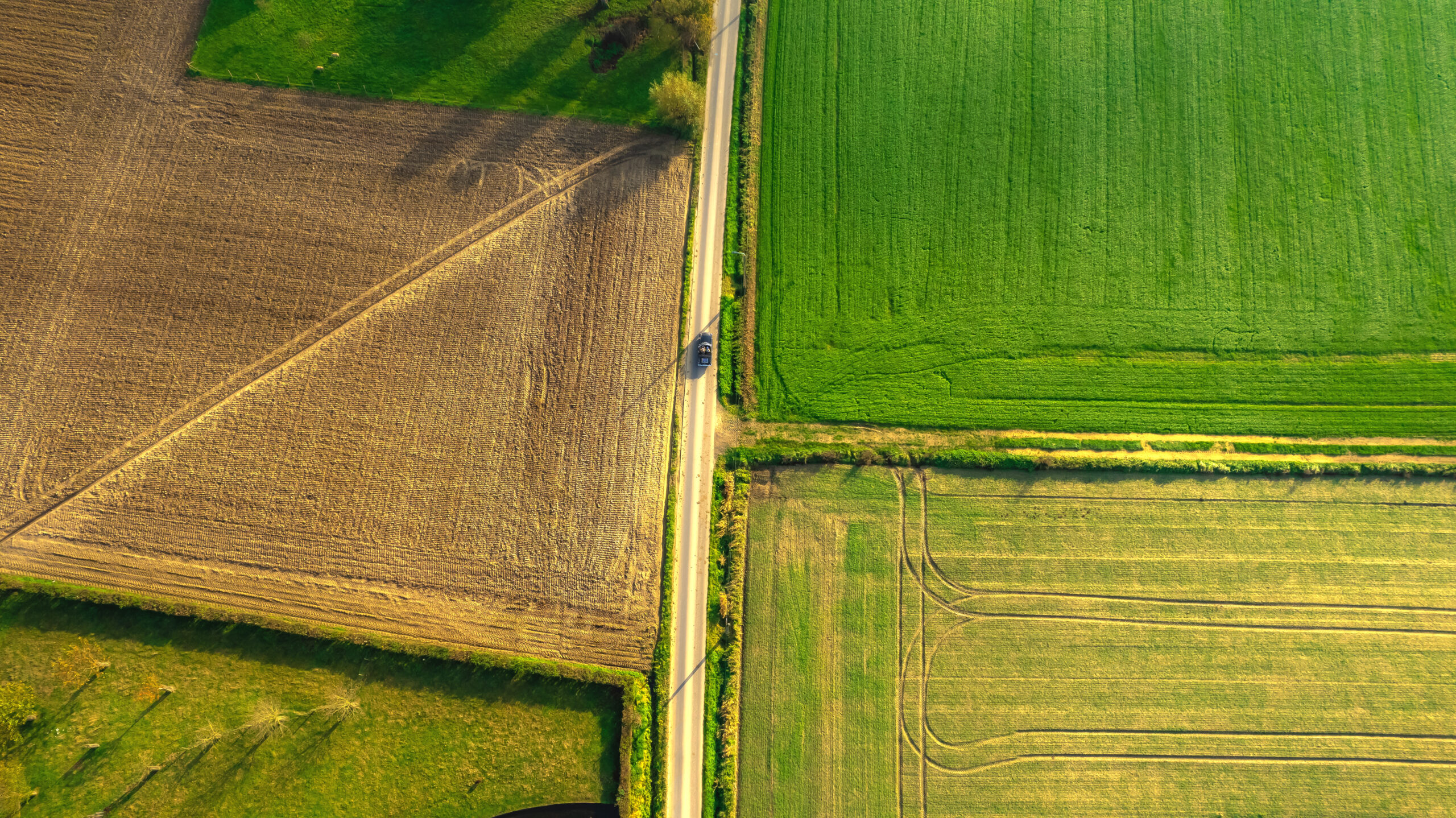 drone foto oldtimer op de lange munte