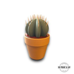 Party cactus rond