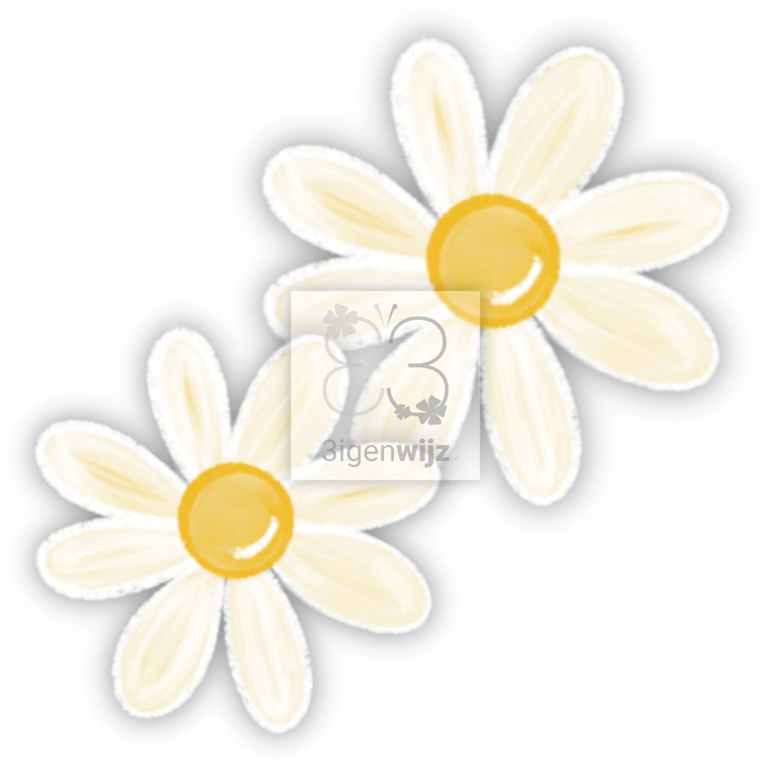 magriet-wit-clipart-00-etalage