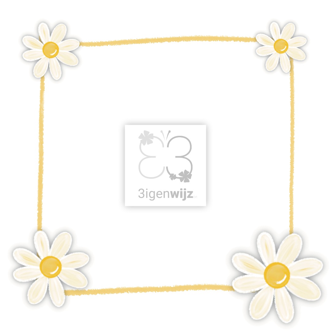 magriet-wit-kaders-01-etalage
