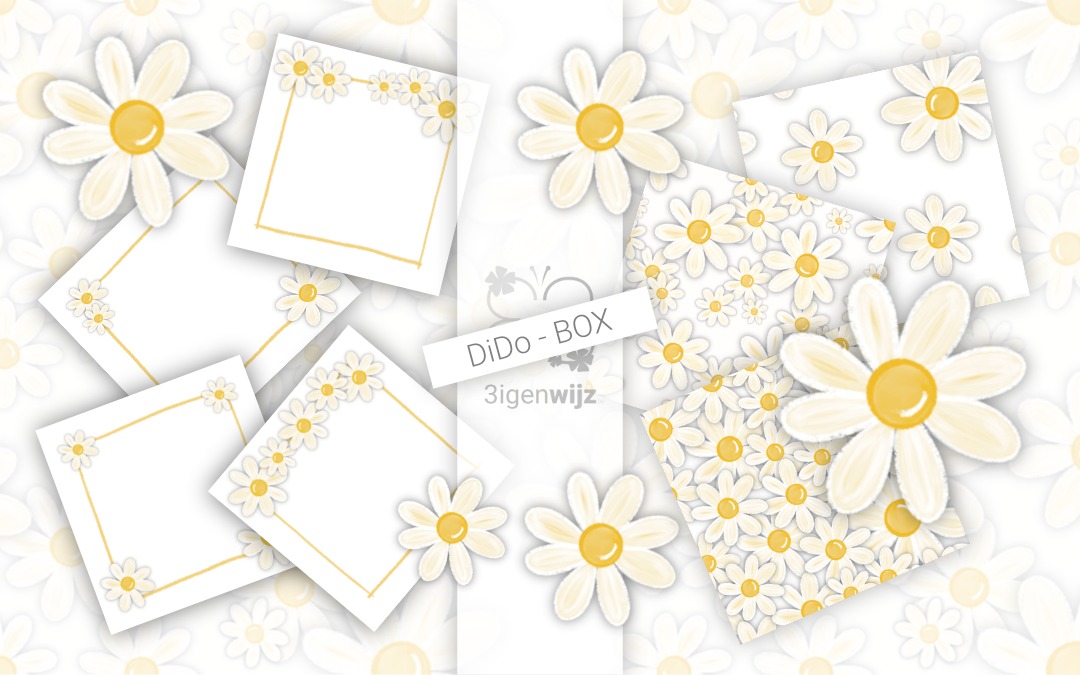 Een BOX vol margrieten in het wit