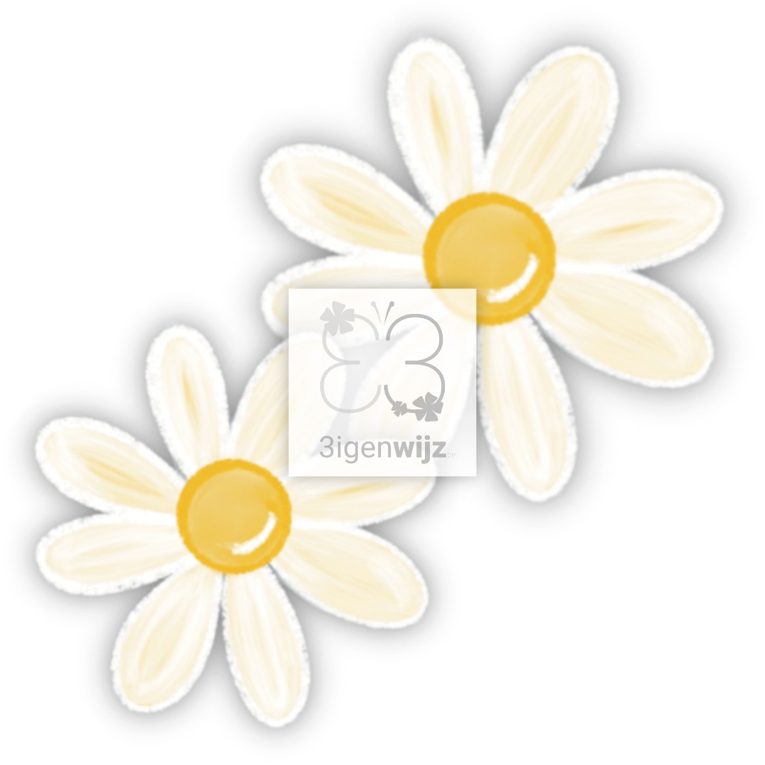magriet-wit-clipart etalage