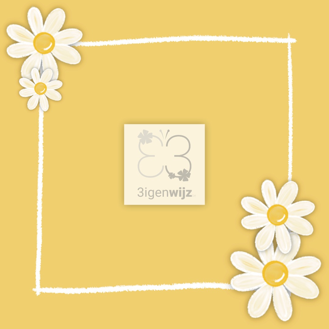 margriet-geel-kaders mix etalage 1