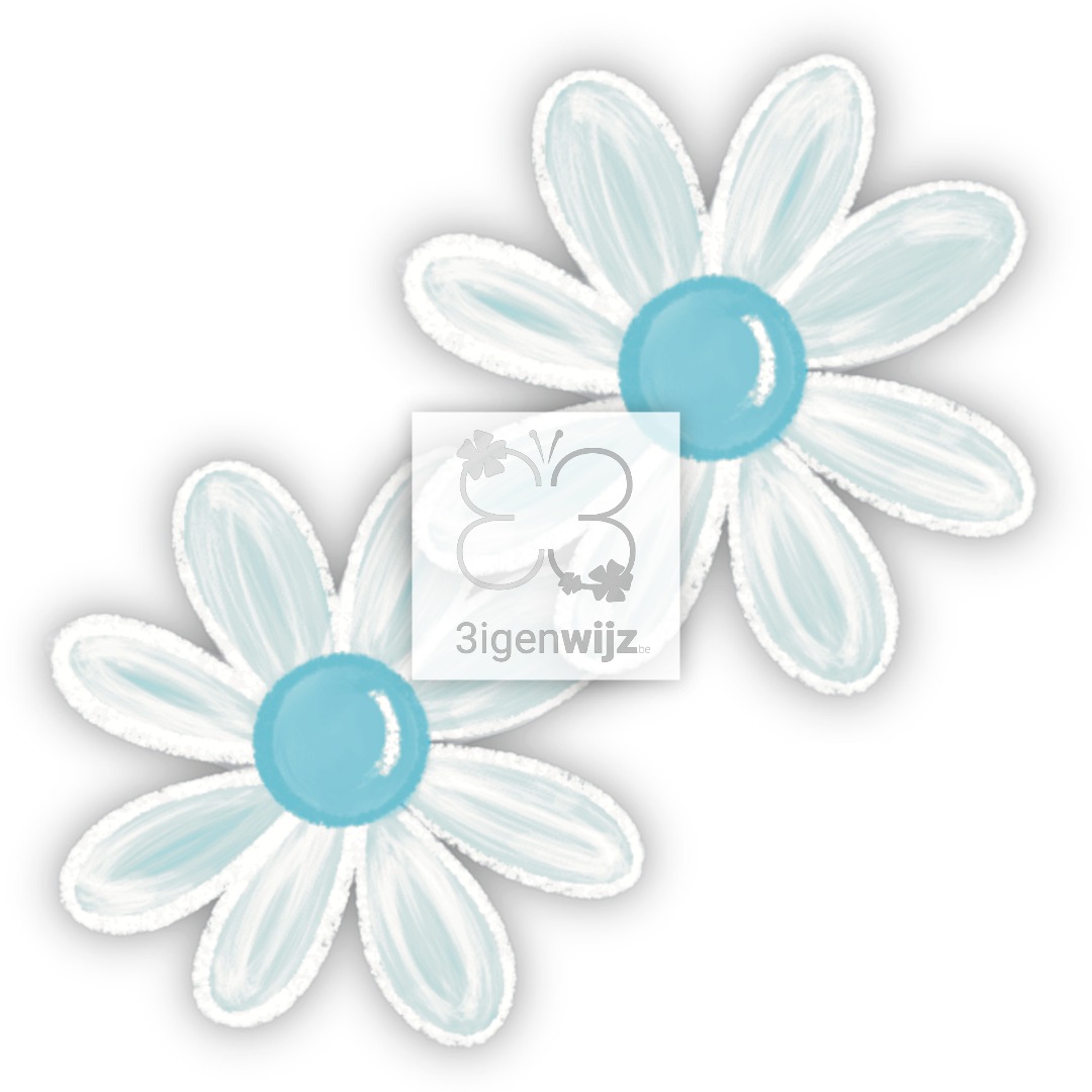 Magriet-blauw-patroon etalage18