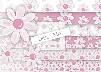 Roze margrieten box