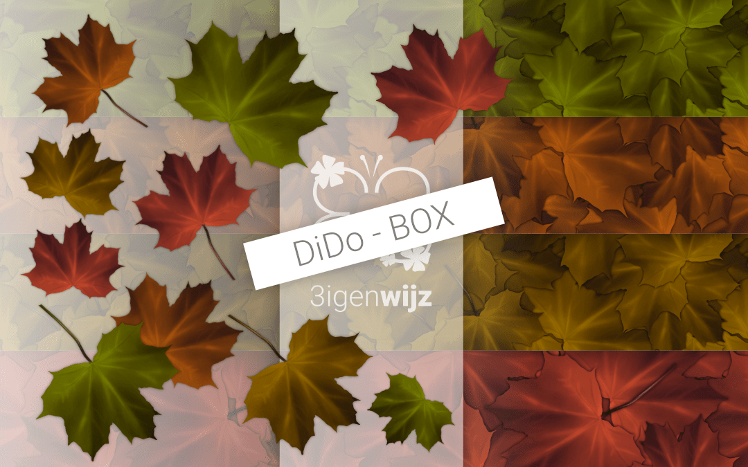 Bladeren-herfst-box etalage project5