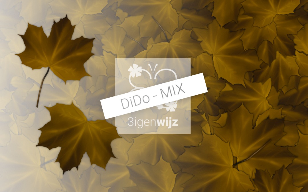 Herfst-bladeren etalage mix project