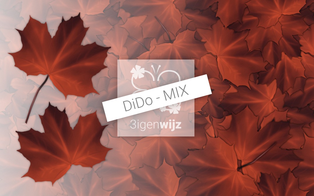 Herfst-bladeren mix etalage project