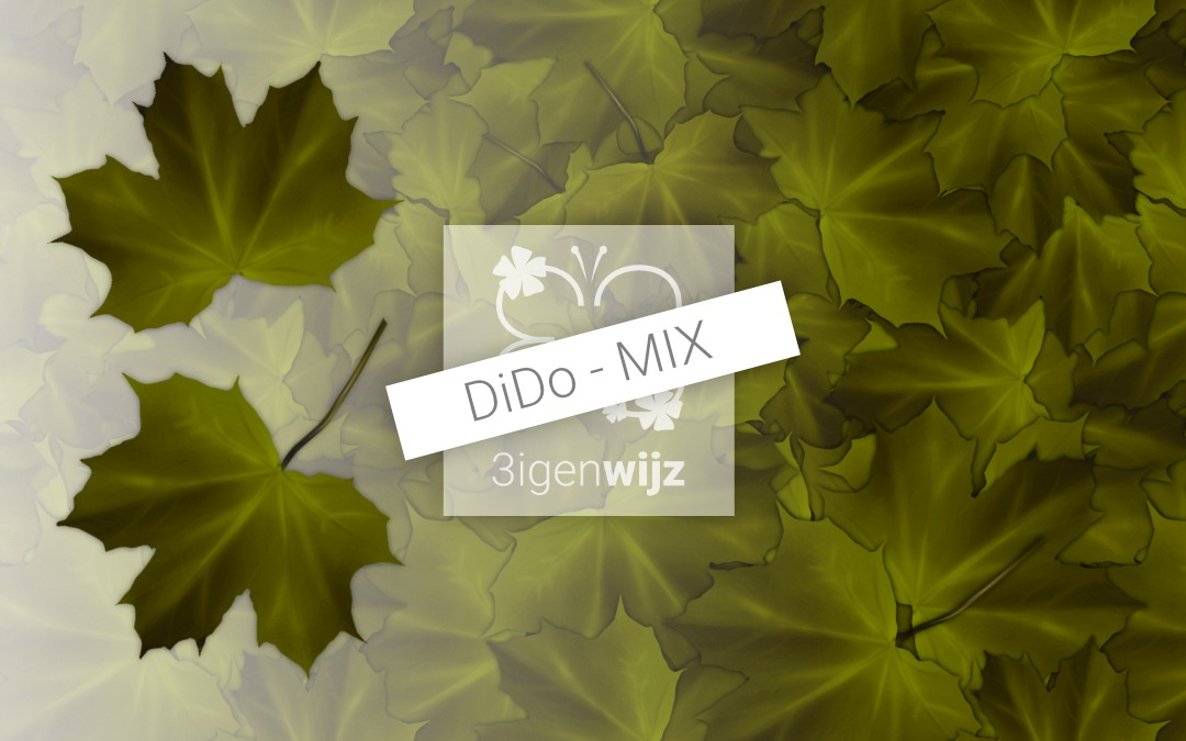 Herfst-bladeren mix etalage