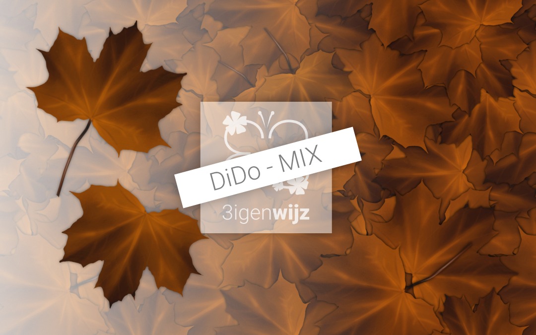 Herfst-bladeren bruin etalage mix project
