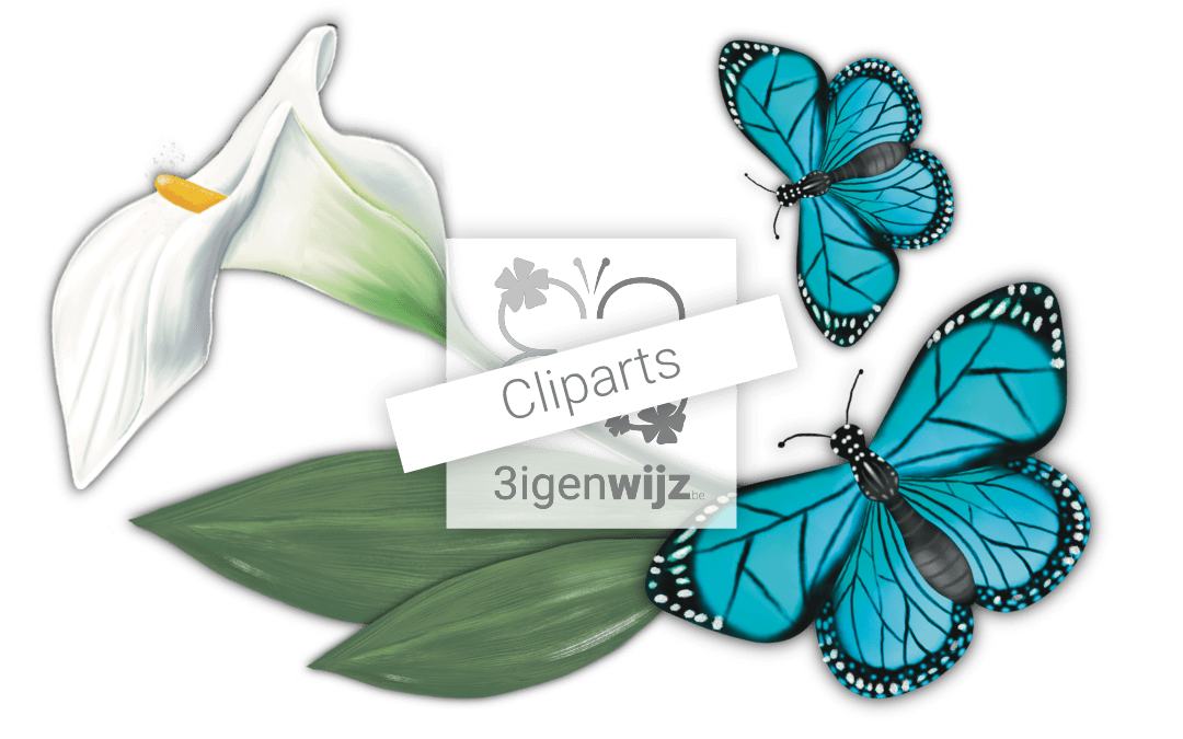 Intro cliparts 1