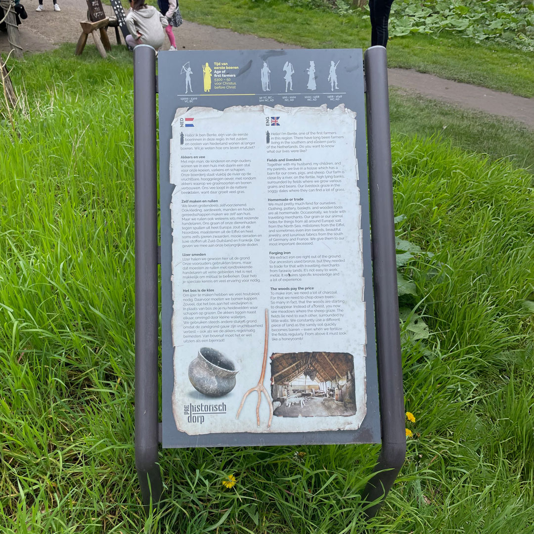 pHD_04