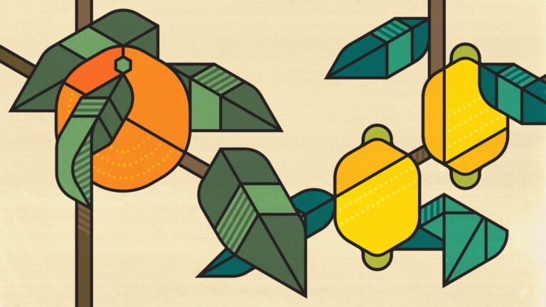 Minimal fruit illustration in a geometric style by freelance graphic designer and illustrator Bart de Keyzer (3rd Floor) for Nine Creative Agency, Breda.