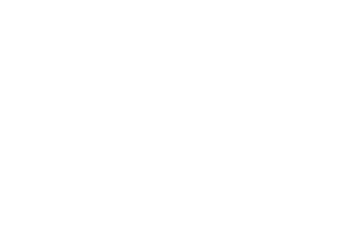 46plus1 Logo