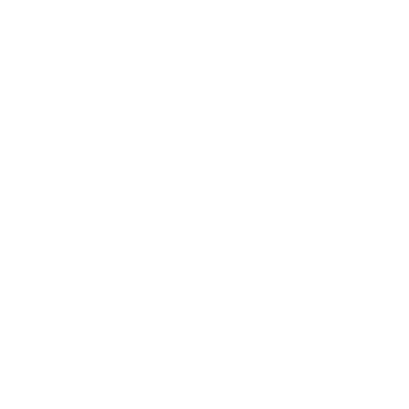 48 Timer logo