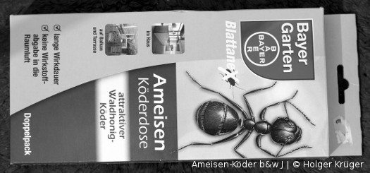 Ameisen-Köder b&w