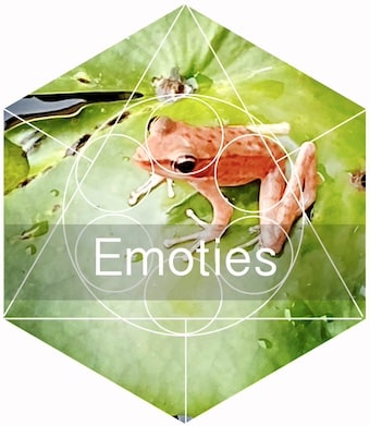Emoties