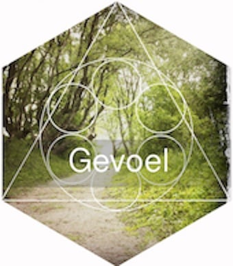 Gevoel Gevoelens