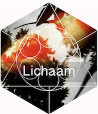 lichaam