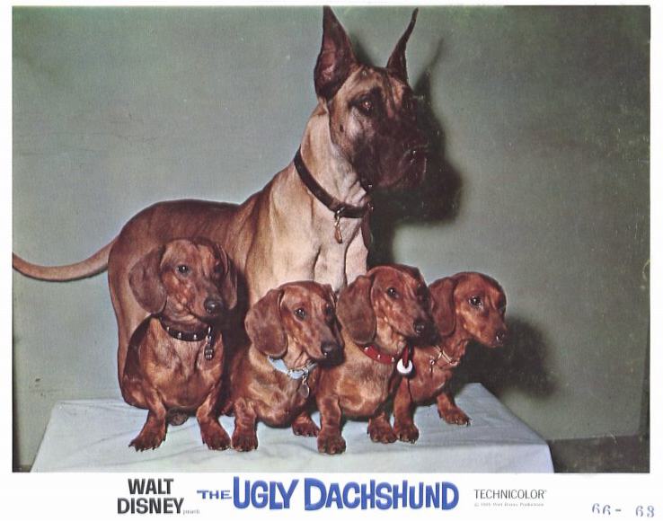 The Ugly Dachshund 1966