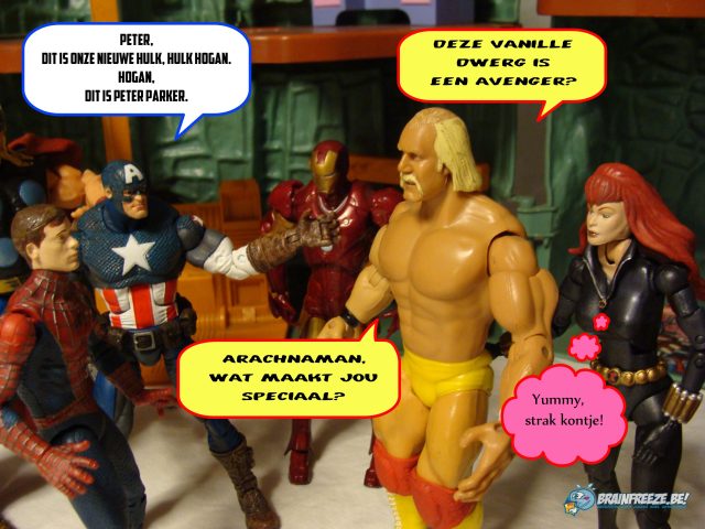 Figuurlijk Gesproken toyphotography Avengers Toybiz Marvel Legends