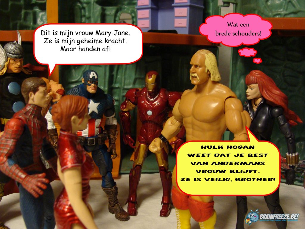 Figuurlijk Gesproken toyphotography Avengers Toybiz Marvel Legends