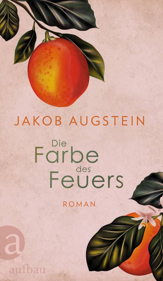 Jakob Augstein, Die Farbe des Feuers. Aufbau