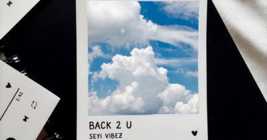 Seyi Vibez - Back 2 U