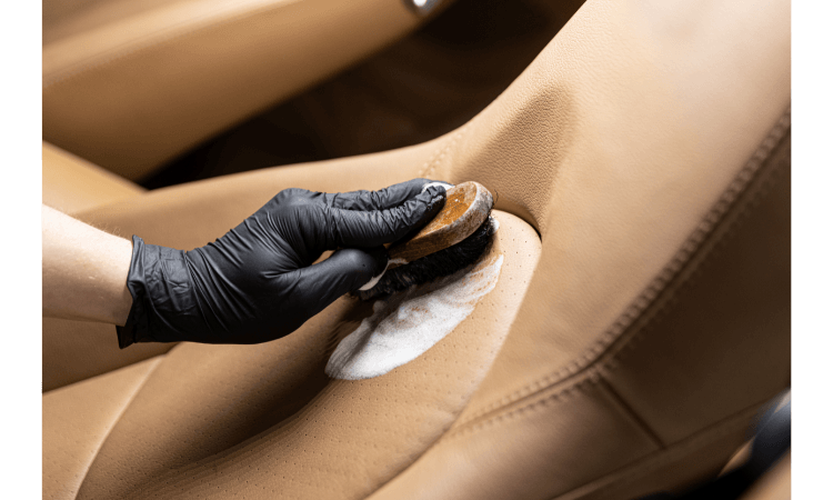 How to Clean Leather