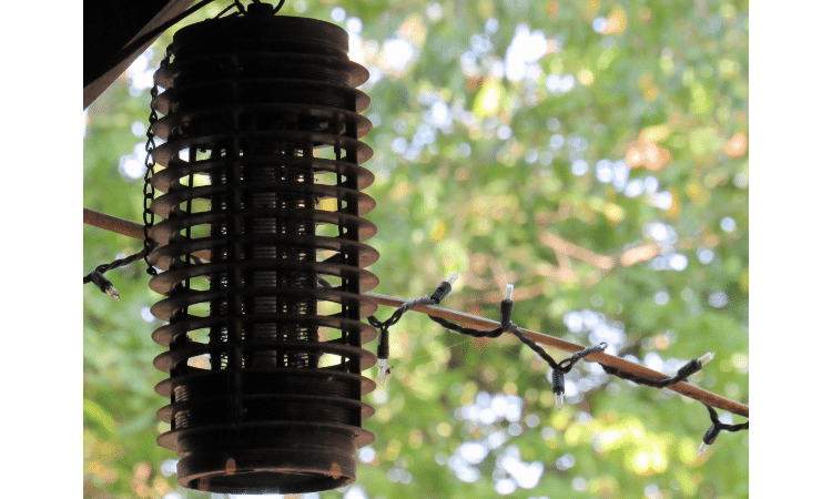 How to keep bugs away from porch light