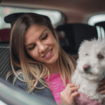 Know About Driving safely with pets