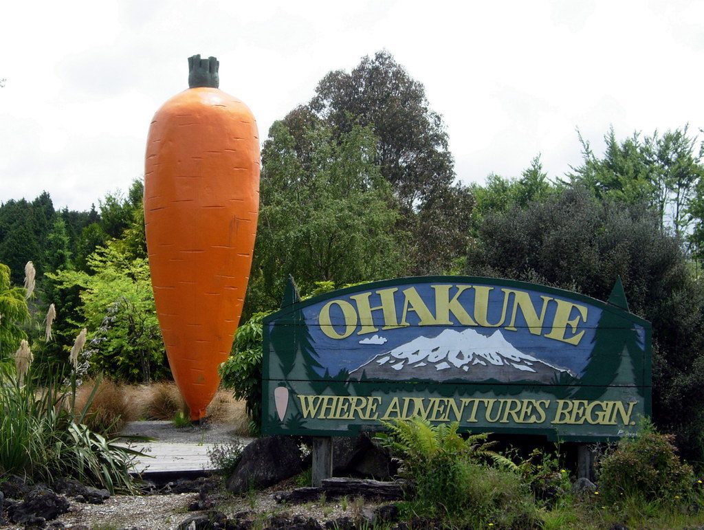 Giant Carrot