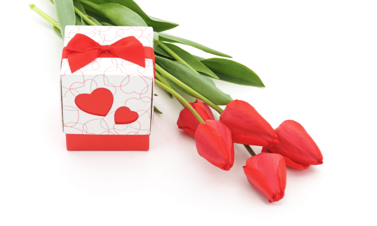 Gifting Red Tulip