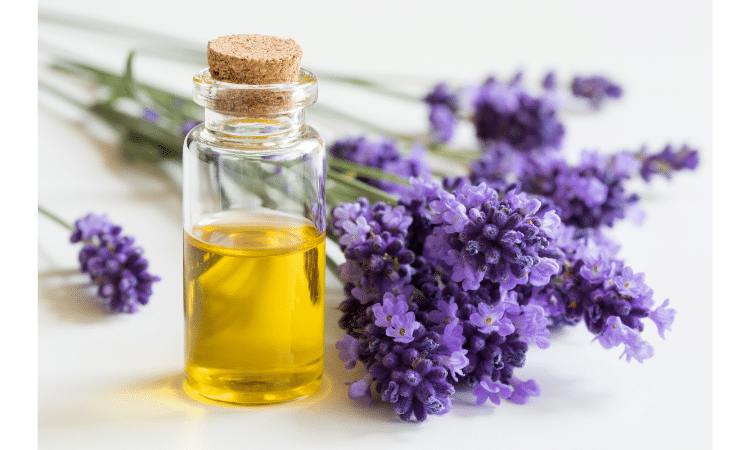 Uses of Essential oils for health